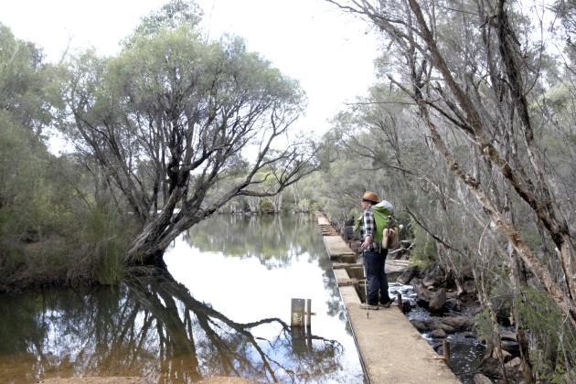An old dam on Collie River.
