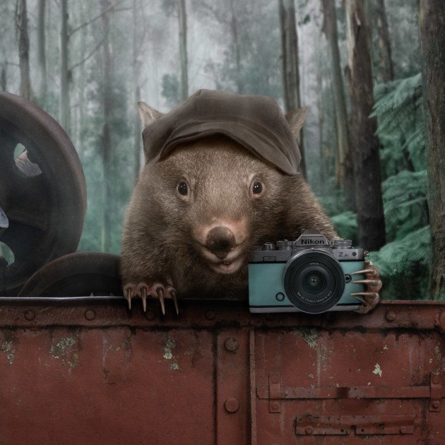 &copy; Karen Alsop