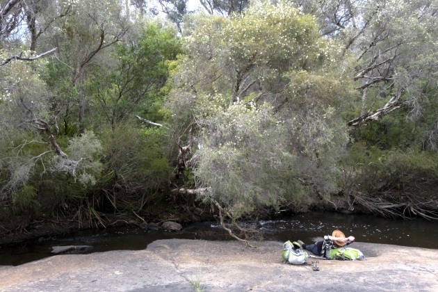 Resting by the babbling brook.