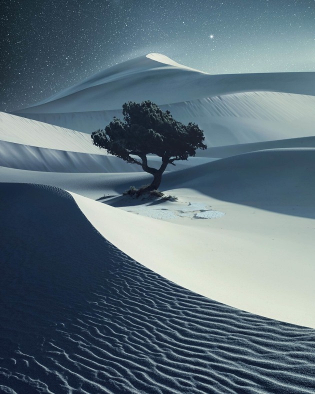 Landscape category winner, Benjamin Everett, Lopez Island, USA.