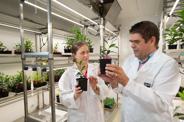 Hort Innovation&rsquo;s Frontiers investment program is supporting a $41 million tree crop program, bringing together growers and plant scientists to accelerate the development of new almond, apple, citrus, macadamia and mango varieties.
Source: Hort Innovation