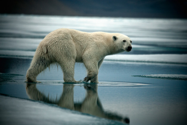 Why documentary photography matters. &copy; Sebastian Copeland.