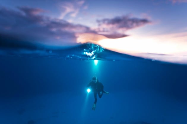 20,000 ISO under the sea. &copy; Trent Mitchell.