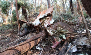 The Dromader crash site south of Nowra. (ATSB)