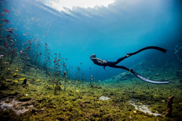 20,000 ISO under the sea. &copy; Christina Saenz de Santamaria.