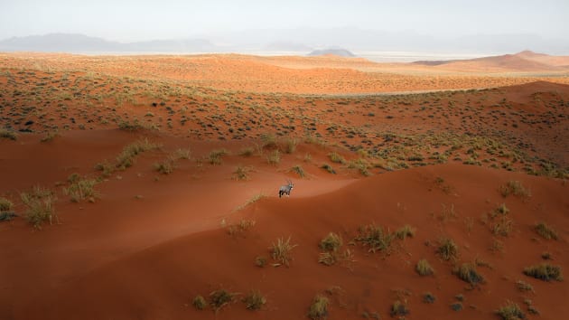 Among the Dunes. &copy; Leah Kennedy.