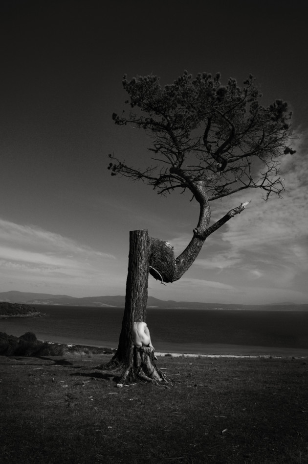 &copy; Lori Cicchini