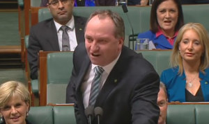 Deputy Prime Minister and Member for New England, Barnaby Joyce. (still from House of Reps video)