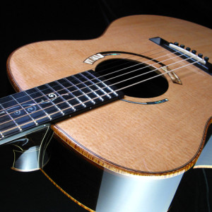 This guitar by Barry Kerr, Woodtone Guitars was sold to a US collector just before the festival. See woodtoneguitars.com.au