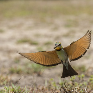 Renowned nature photographer J&uuml;rgen Freund will run a masterclass in November.