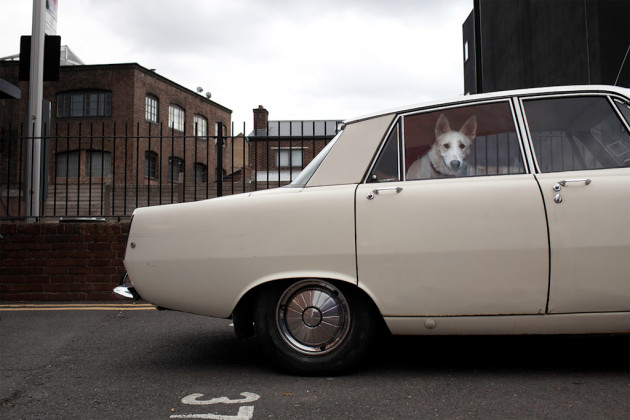 Bolt. &copy; Martin Usborne.