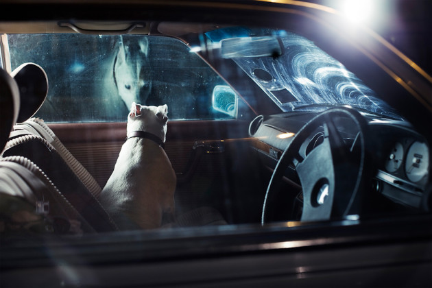 Bones. &copy; Martin Usborne.