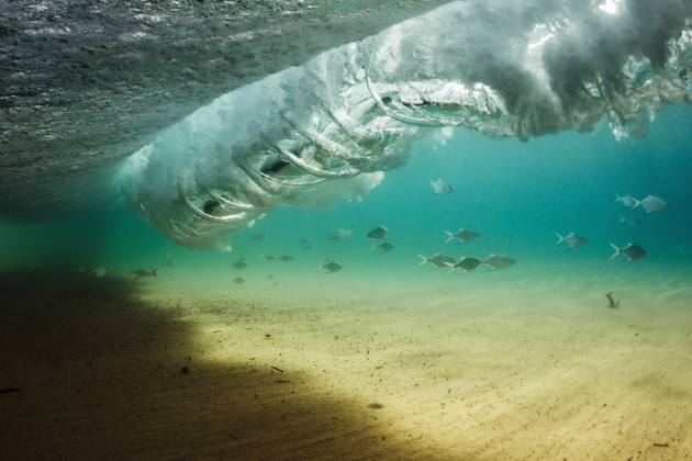 The Salt Kingdom. Trevally swimming
underneath the waves on the Gold Coast,
near Surfers Paradise. &copy; Jon Wright.
