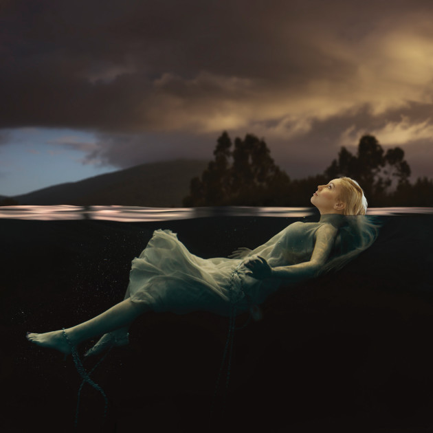 Swan. &ldquo;My grandfather told me: &lsquo;You
are like a swan. Smooth, calm and
collected on the surface, but paddling
like hell underneath&rsquo;.&rdquo; &copy; Julia Nance.