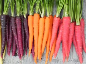 AUSVEG has expressed concerns the package falls well short of a genuine Country of Origin Labelling system.