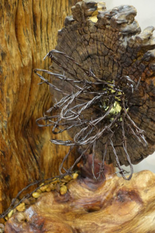 Colin Stark, Future Uncertain. &lsquo;Selectively constructed from discarded wood, an old white beech fence post, hardwood log end, rose mahogany root and barbed wire, &ldquo;future uncertain&rdquo; is a liberal interpretation of the 2016 Wootha Theme. Totally unconventional, it rejects conformity in its shape, finish or function. It is contrary to what is expected. The purpose of the piece is to provoke thought as to its inner meaning/s. The answers are dependent upon the interrogator&rsquo;s perception.&rsquo;