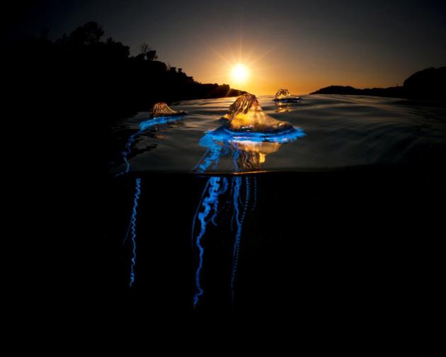 &copy; Matty Smith