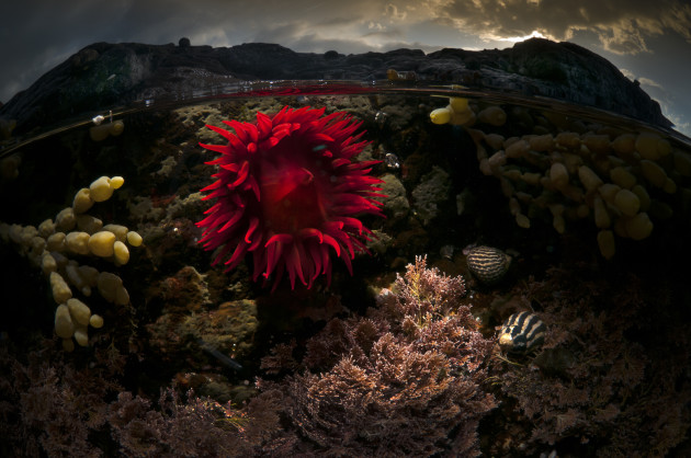 ATEP 2015 - Documentary/Photojournalism category winner - &copy; Matty Smith