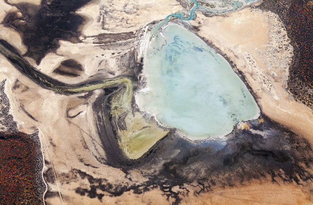 &copy; Debbie Fowler. Natures Art, Shark Bay, WA.