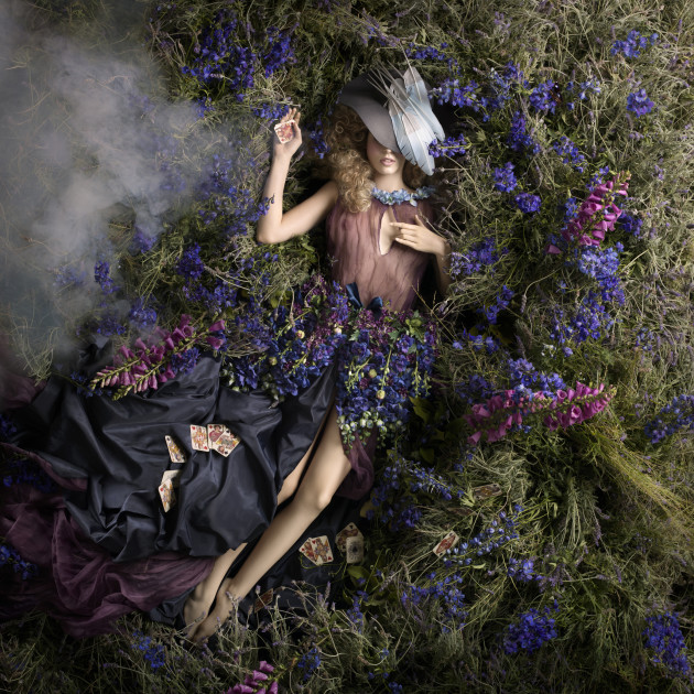 <p>&copy; Alexia Sinclair. Delphinium.</p>