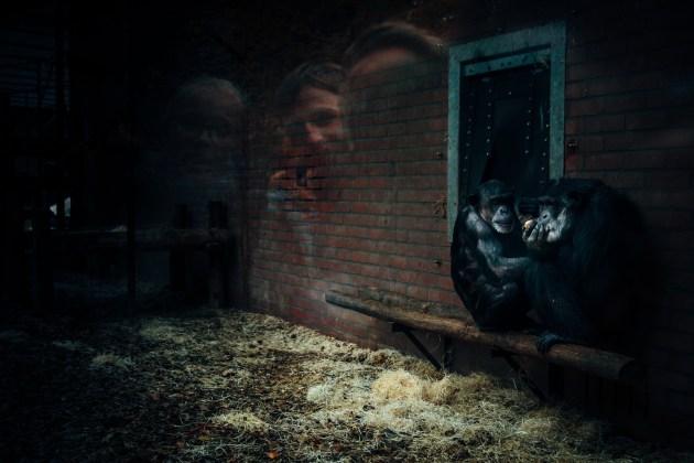 &copy; Miriam Deprez.