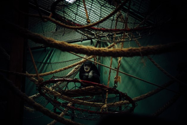 &copy; Miriam Deprez.