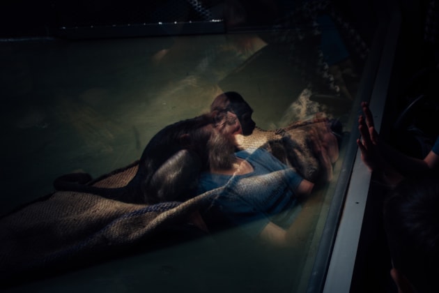 &copy; Miriam Deprez.