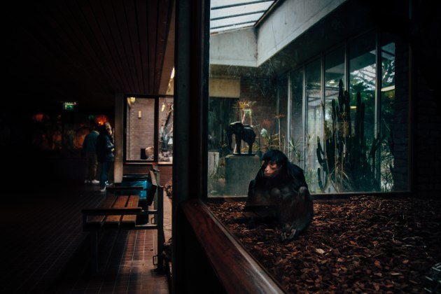 &copy; Miriam Deprez.