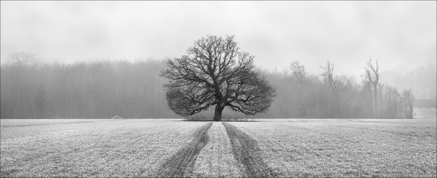 &copy; Jannick Clausen.
