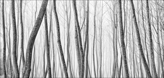 &copy; Jannick Clausen.