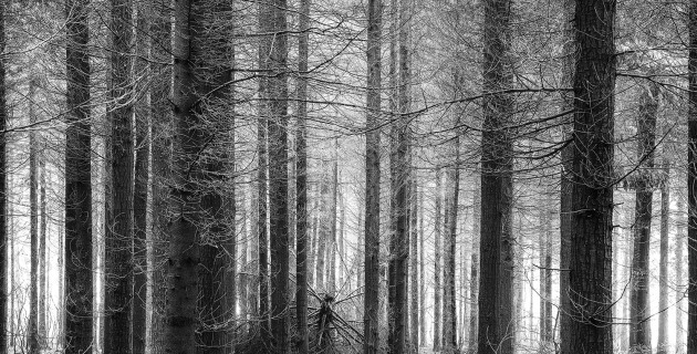 &copy; Jannick Clausen.
