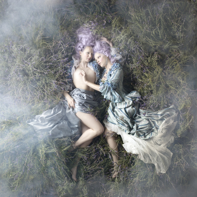 <p>&copy; Alexia Sinclair. Fields of Lavender.</p>