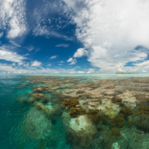 <i>Mapia Atoll. West Papua. Using a polariser cuts reflections and lets the reef show through the water. Canon EOS 5D Mk III, 16-35mm f2.8L lens @16mm, 1/125s @ f/8, ISO 100.</i>