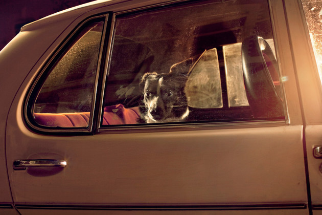 Flo. &copy; Martin Usborne.