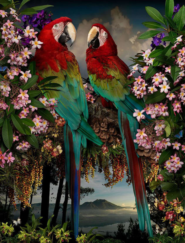 Florilegium #10, 2016. Gicl&eacute;e digital print on Archival Hahnemuhle Fine Art Paper. Image &copy; Joseph McGlennon.