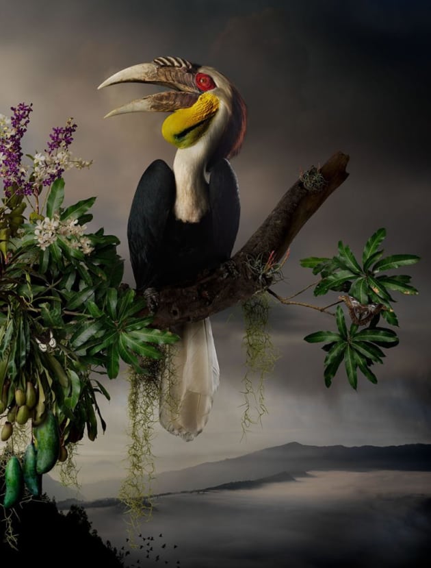 Florilegium #7, 2016. Gicl&eacute;e digital print on Archival Hahnemuhle Fine Art Paper. Image &copy; Joseph McGlennon.