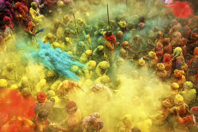 HIPA Grand Prize winner. &copy; Anurag Kumar
