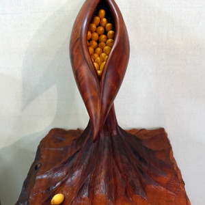 Gary Field, The Chosen One, rose mahogany