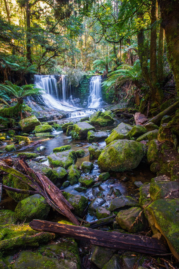 The image after adjustments in Lightroom.