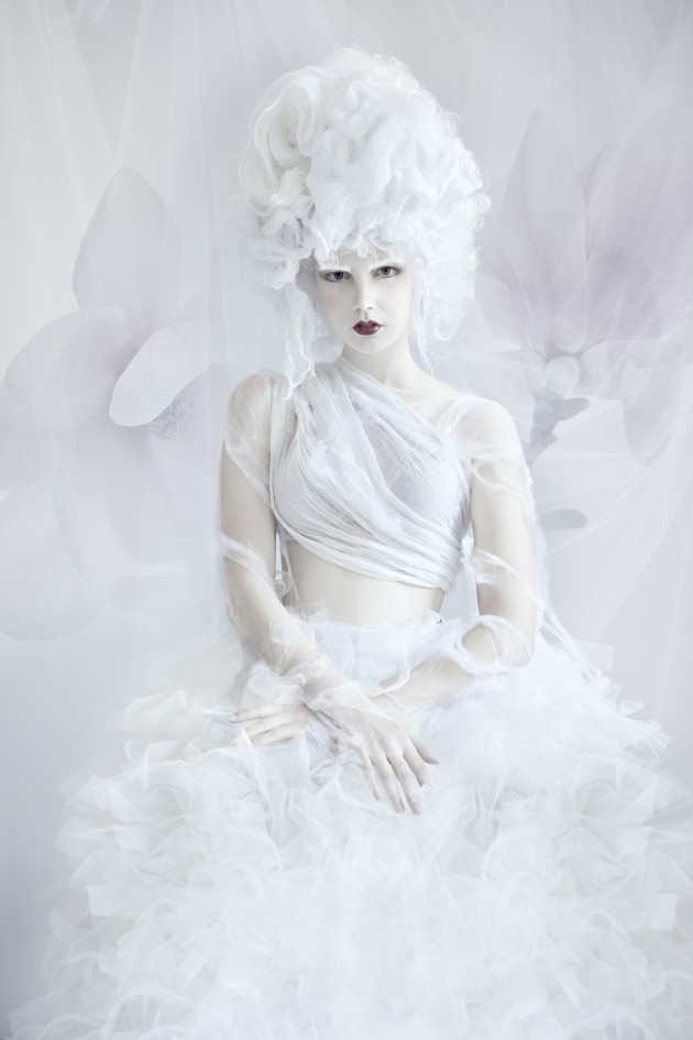 &copy; Lori Cicchini