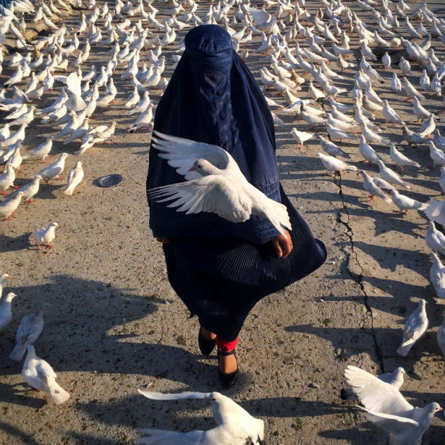 Head On Mobile Prize - 3rd Place - Ako Salemi. "A woman covered by a burqa passes by the Roze Sharif holy shrine in Mazar-e-Sharif, where white pigeons often congregate. The pigeon is the symbol of freedom in Afghanistan.&rdquo;