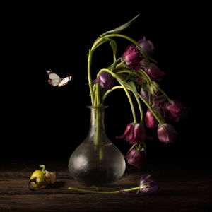 Heralds of Spring, 2015. From the Series Rococo, by Alexia Sinclair.
