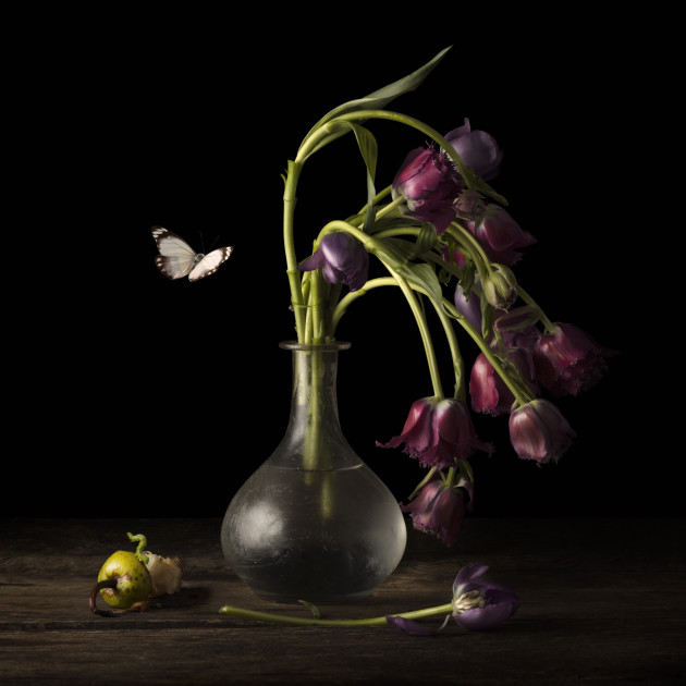 <p>&copy; Alexia Sinclair. Heralds of Spring.</p>