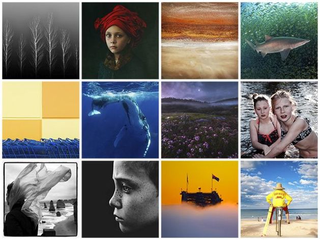 <i>Top left to right: Steven Fudge (Runner Up Black & White), Dasha Riley (Overall Winner, Winner Portrait), Diana Yong (Winner, Landscape), Nick Terry (Runner Up, Nature), Ann Doljanin (Runner Up, Landscape), Jorgen Rasmussen (Winner, Nature), Ronald Pollard (Winner, Junior Landscape), Ana Burenkova (Winner, Junior Portrait), Douwe Dijkstra (Winner, Black & White), Helen Whittle (Runner Up, Portrait), Olivia Donovan (Runner Up, Junior Landscape), Hamish Cowan (Runner Up, Junior Portrait).</i>