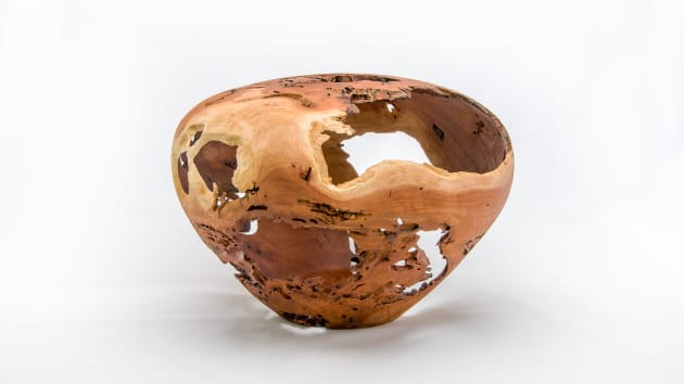 Jay Osman, Novice Winner &ndash; Hollow vessel and Best Eucalypt