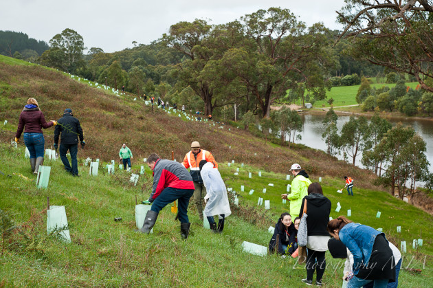 Jurlique's Tree Planting Day contributes to local biodiversity and conservation.