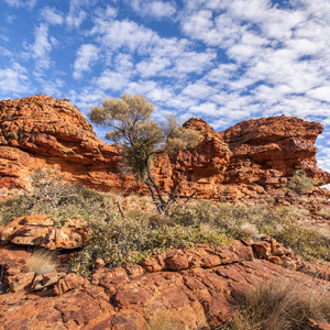 King's Canyon, Northern Territory. Photo by Michael Snedic.