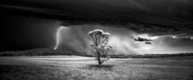 &copy; Luke Tscharke