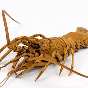 Spiny lobster in boxwood by Ryosuke Ohtake