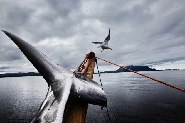 &copy; Marcus Bleasdale